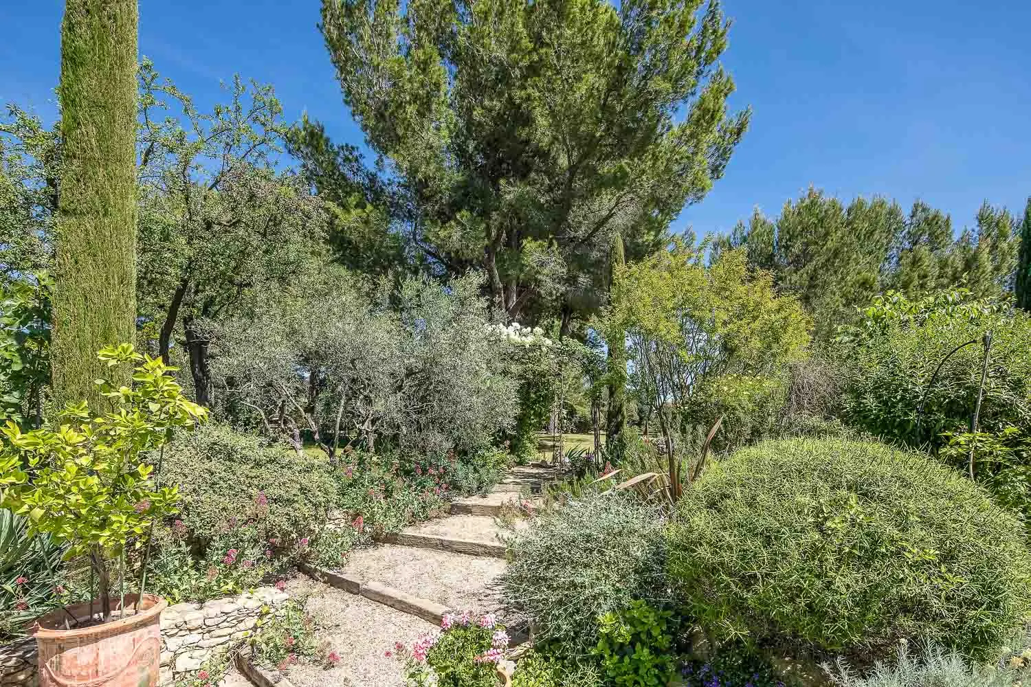 Vilă cu 5 dormitoare și piscină încălzită, Fontvieille, Provence-Alpes-Côte d'Azur, fotografia 30
