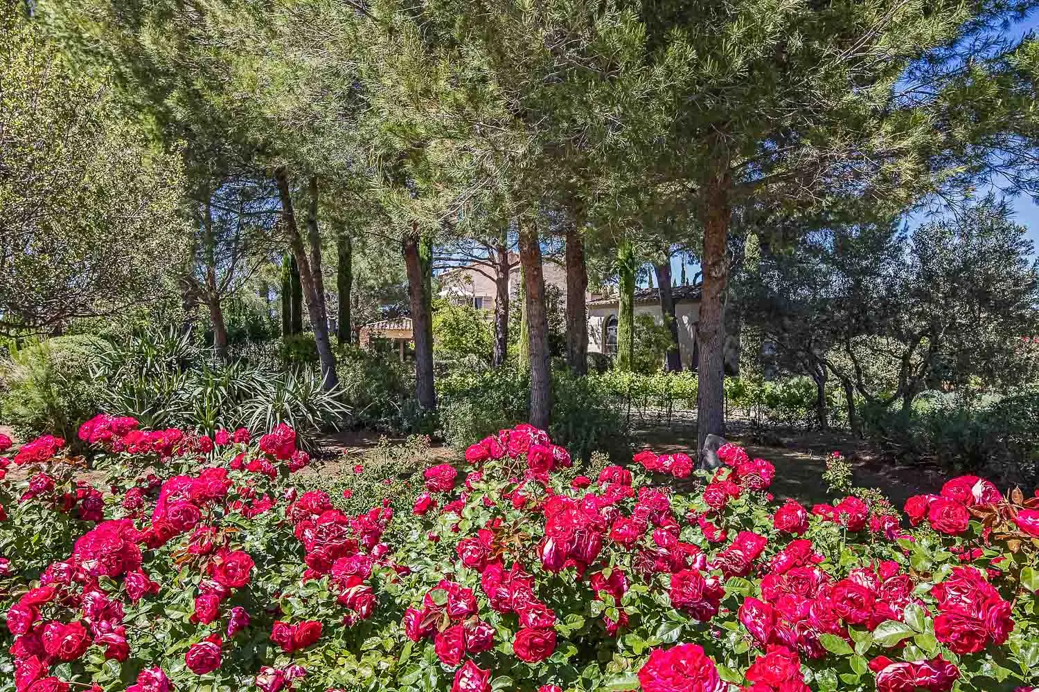 Vilă cu 5 dormitoare și piscină încălzită, Fontvieille, Provence-Alpes-Côte d'Azur, fotografia 33